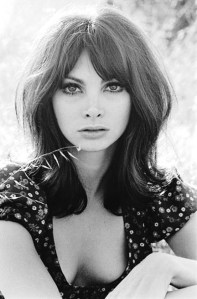 tonibasil